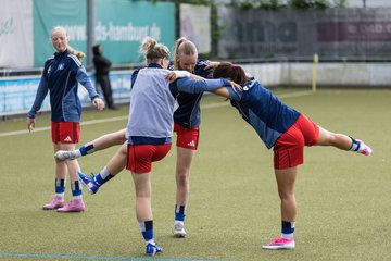 Bild 63 - wBJ Hamburger SV - FC Suederelbe : Ergebnis: 9:0